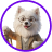 Bodhii Avatar