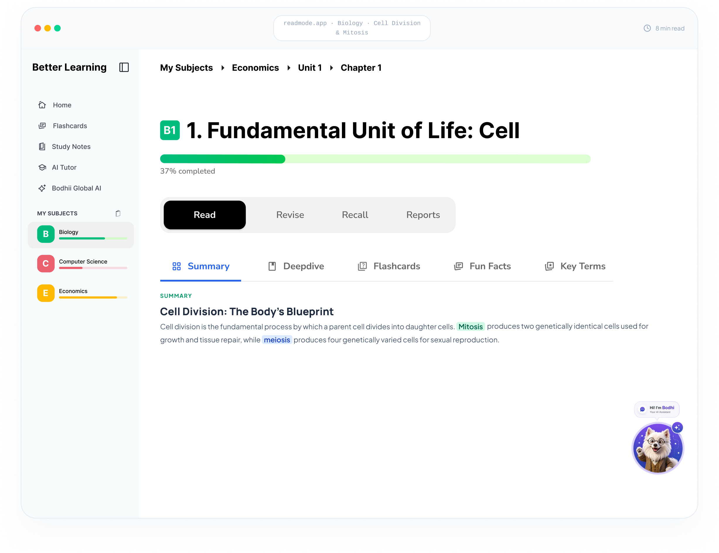 Live Preview Dashboard